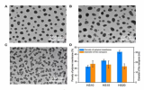 國(guó)內(nèi)研究團(tuán)隊(duì)成功制備大面積3D Janus多孔膜